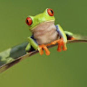 Meet your Posher, Phillip